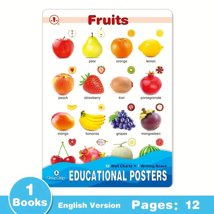 12 educational charts RHAC-978E