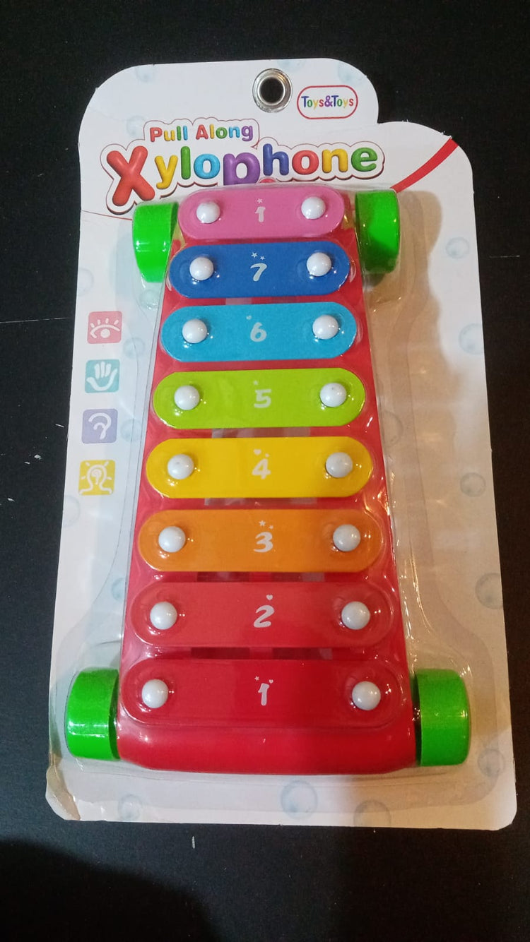 Pull along xylophone LTT PX-01