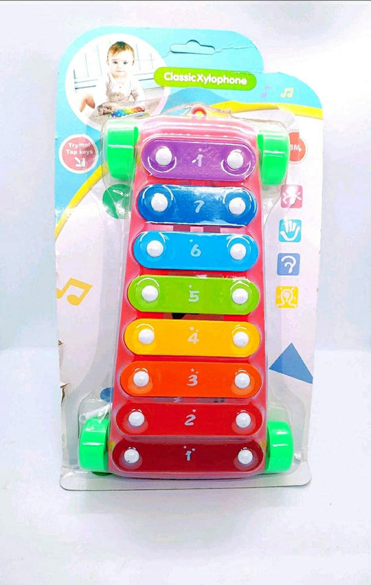 Pull along xylophone LTT PX-01